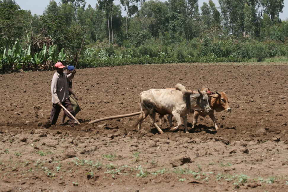 rural Ethiopia