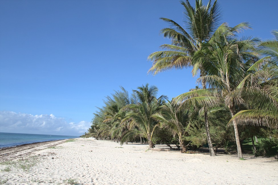 Tiwi Beach