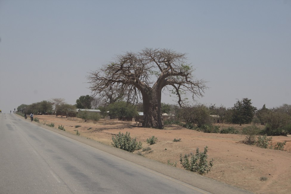 Tanzania rural