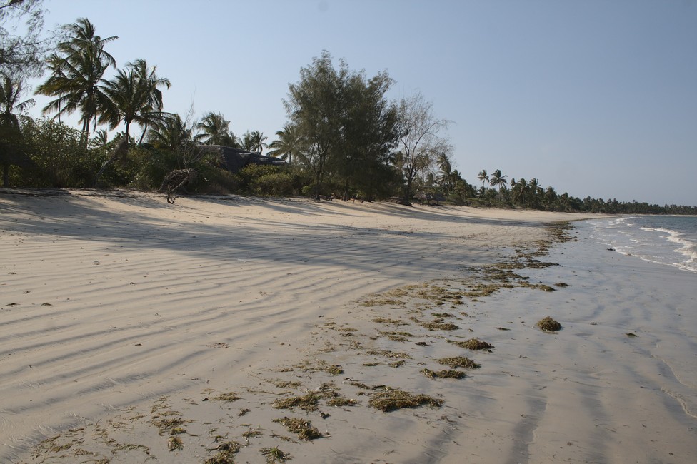 Tanzanian Beaches 