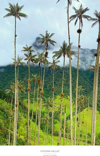 https://overlandtraveltips.com/wp-content/uploads/2026/08/04e51b_779073cff96943638e9d3c37de1673fbmv2.jpeg