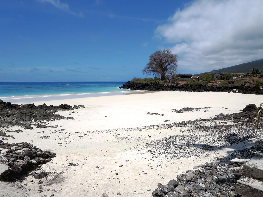 https://overlandtraveltips.com/wp-content/uploads/2026/08/10952257536_ee9a32982b_b.jpg