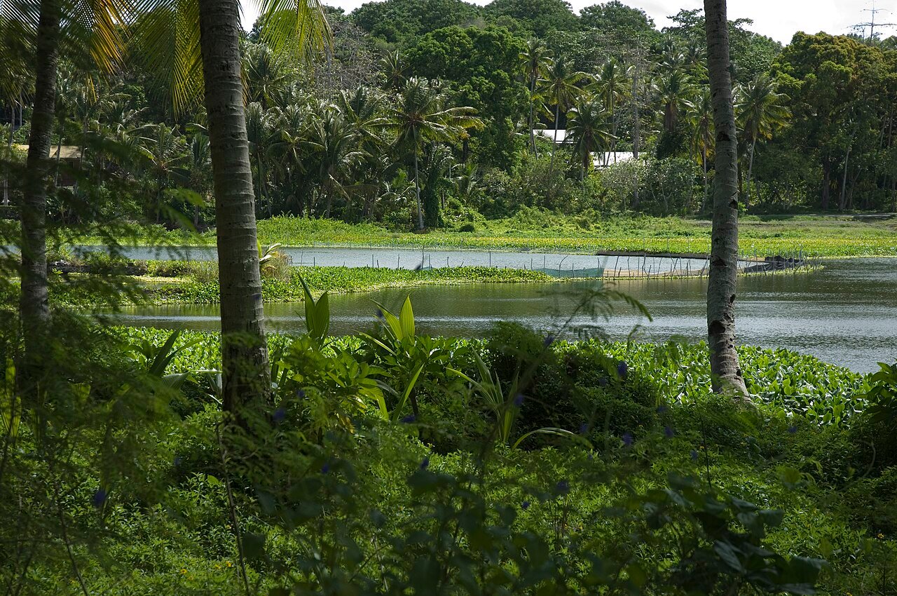https://overlandtraveltips.com/wp-content/uploads/2026/08/1280px-Buada_Lagoon2C_Nauru_2007.jpg