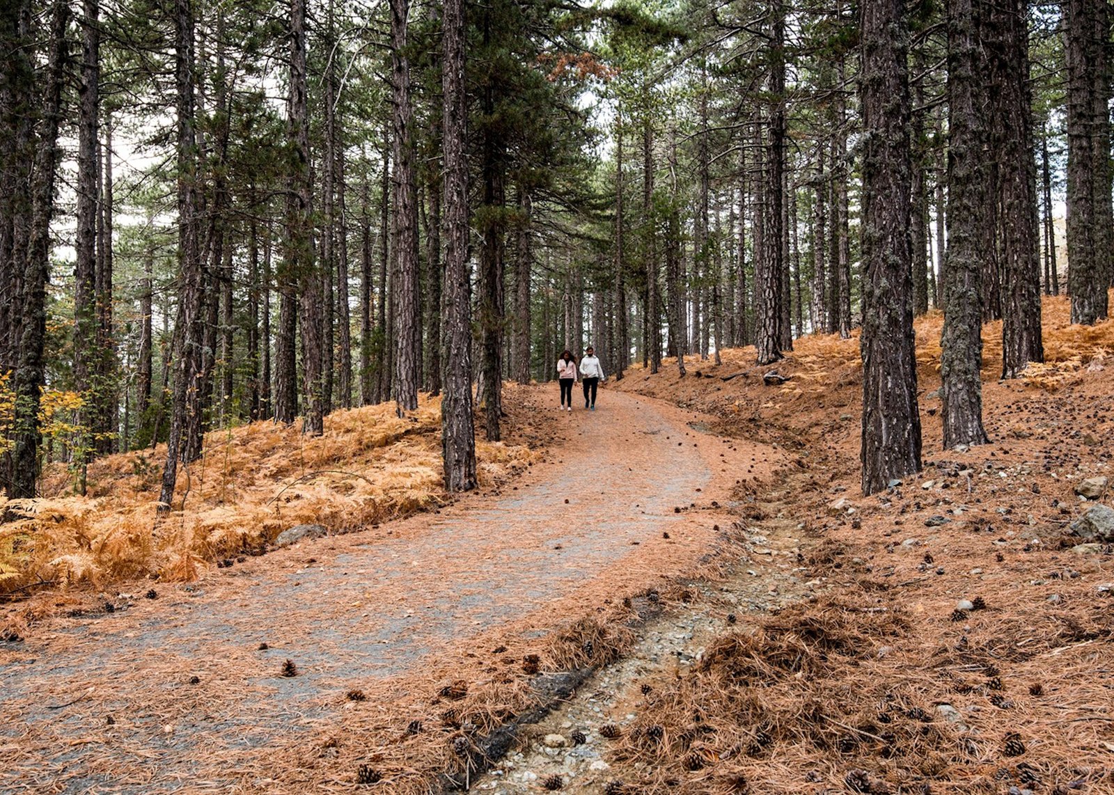 https://overlandtraveltips.com/wp-content/uploads/2026/08/15994568-hiking-paths-troodos-mountains.jpg