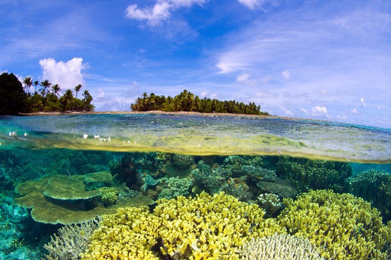 https://overlandtraveltips.com/wp-content/uploads/2026/08/1739633692745-media3Fkey3DAIzaSyCkpNVocP1IwgtIz1s4aaTb1GgwMdUtzBw26maxHeightPx3D80026maxWidthPx3D800.jpg