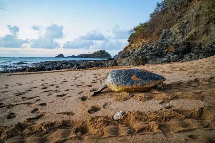 https://overlandtraveltips.com/wp-content/uploads/2026/08/1739979223330-media3Fkey3DAIzaSyCkpNVocP1IwgtIz1s4aaTb1GgwMdUtzBw26maxHeightPx3D80026maxWidthPx3D800.jpg