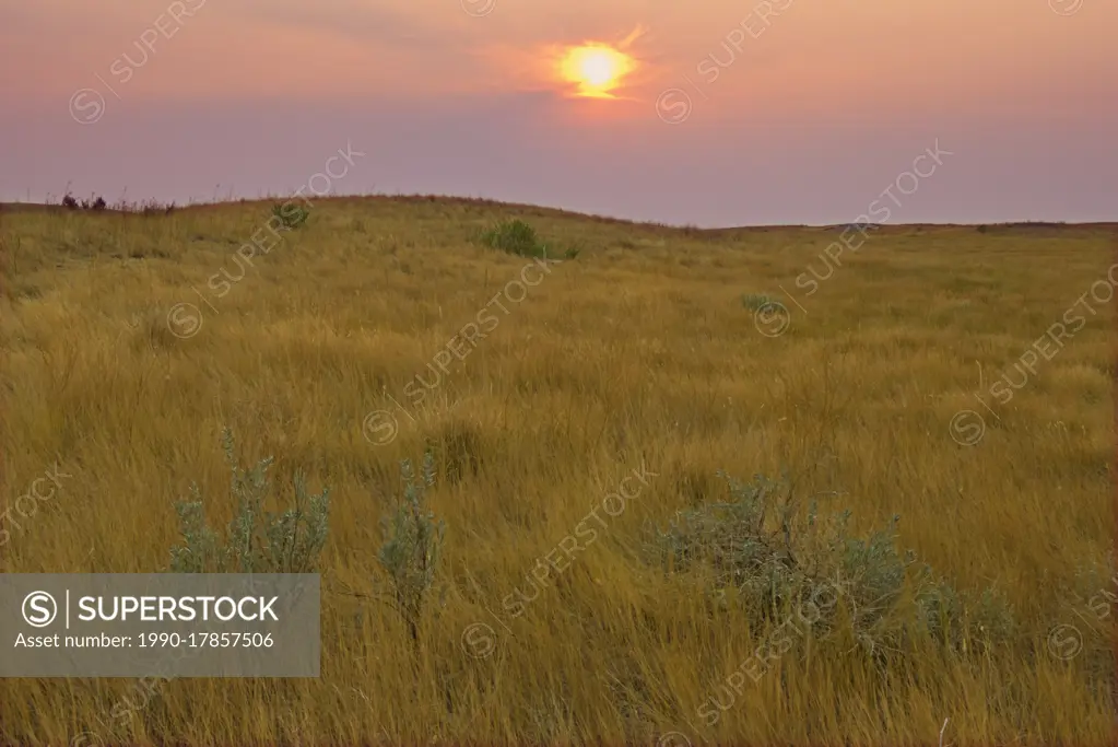 https://overlandtraveltips.com/wp-content/uploads/2026/08/1990-17857506.webp
