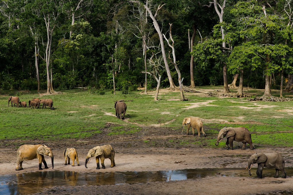 https://overlandtraveltips.com/wp-content/uploads/2026/08/21879189176_466f53f2d2_b.jpg