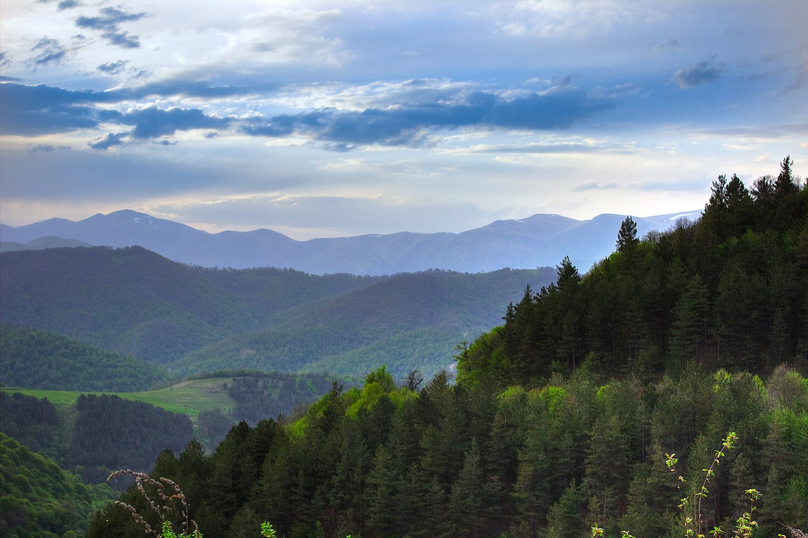 https://overlandtraveltips.com/wp-content/uploads/2026/08/22Dilijan22_national_park.jpg