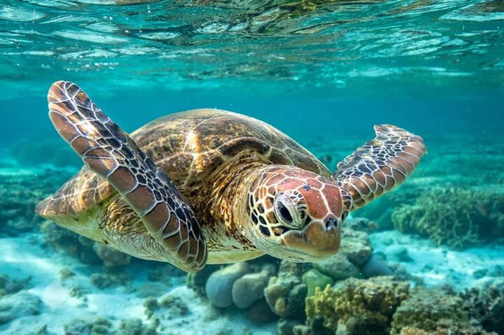 https://overlandtraveltips.com/wp-content/uploads/2026/08/239057touractivity5215d21ce2d64d1480d5185ef1097323_sized.jpg