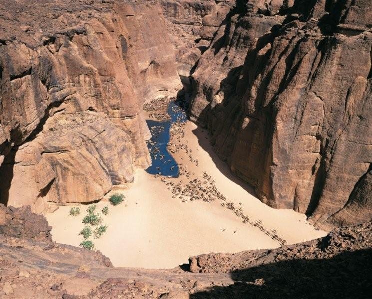 https://overlandtraveltips.com/wp-content/uploads/2026/08/24_Kamele_ziehen_zur_Wasserstelle_im_Ennedi-Gebirge_im_Tschad.jpg
