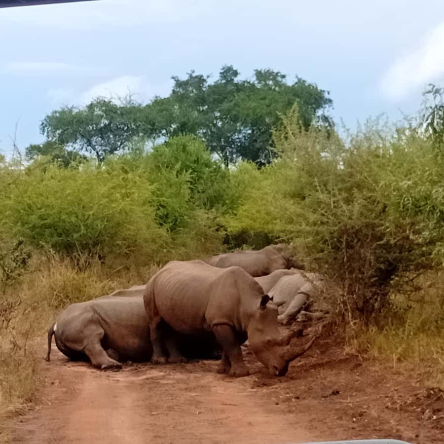 https://overlandtraveltips.com/wp-content/uploads/2026/08/35b6f1ca6b1d4598139d102c5f391f5a160cd659723ebf1c3319cb17b56bd2e5.jpg