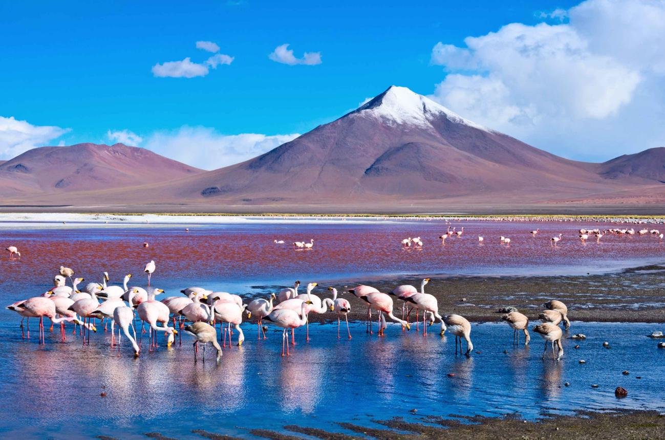 https://images.openai.com/static-rsc-4/LMUxw45x5jgLllxnTV-UWwFJuMa8P3F_5l5UCuEGP9nga5tdvOZWc3sDjlPv_55_T-RWqts3d3n1PH9dNbzF6Fb1KcEcbyLUthCrp34PJr4YnDDO97Z7fht7YKPeOWer5N7un1Dz2eI2HFcNtLAPJGnlnCjZMSCgInqqpGx8Qi_riqRTOoRQBEe4JJBN_SkA?purpose=fullsize
