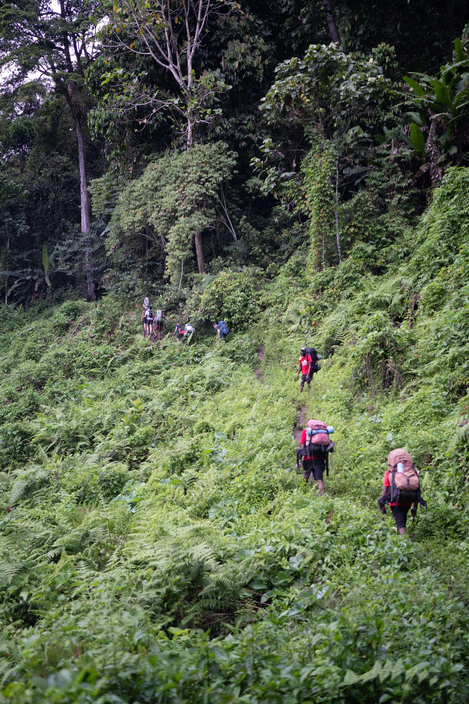 https://overlandtraveltips.com/wp-content/uploads/2026/08/6487f535c3473ff5e55f5314_03.jpg