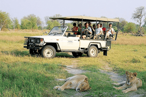https://overlandtraveltips.com/wp-content/uploads/2026/08/68_1.jpg