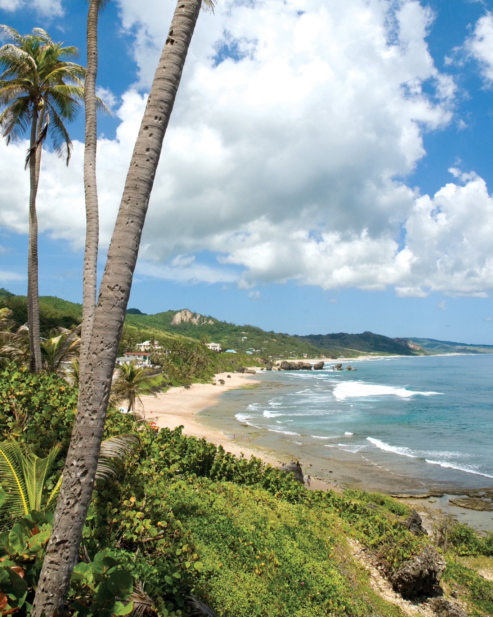 https://overlandtraveltips.com/wp-content/uploads/2026/08/68bf222b1052003653f812b7_Soup20Bowl.jpeg