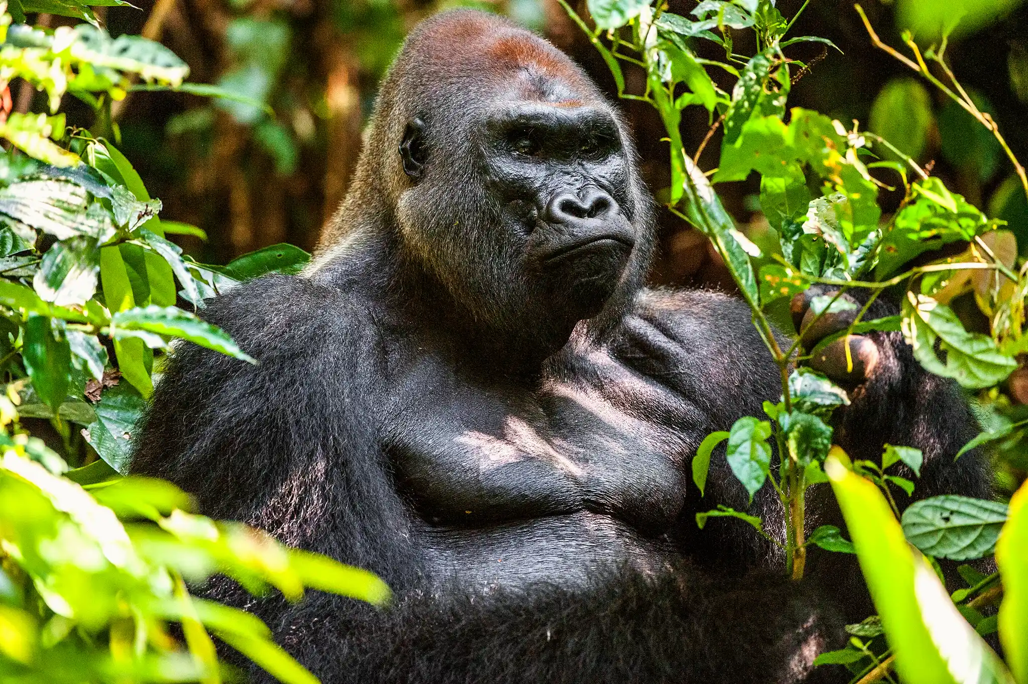 https://overlandtraveltips.com/wp-content/uploads/2026/08/798-2048.webp