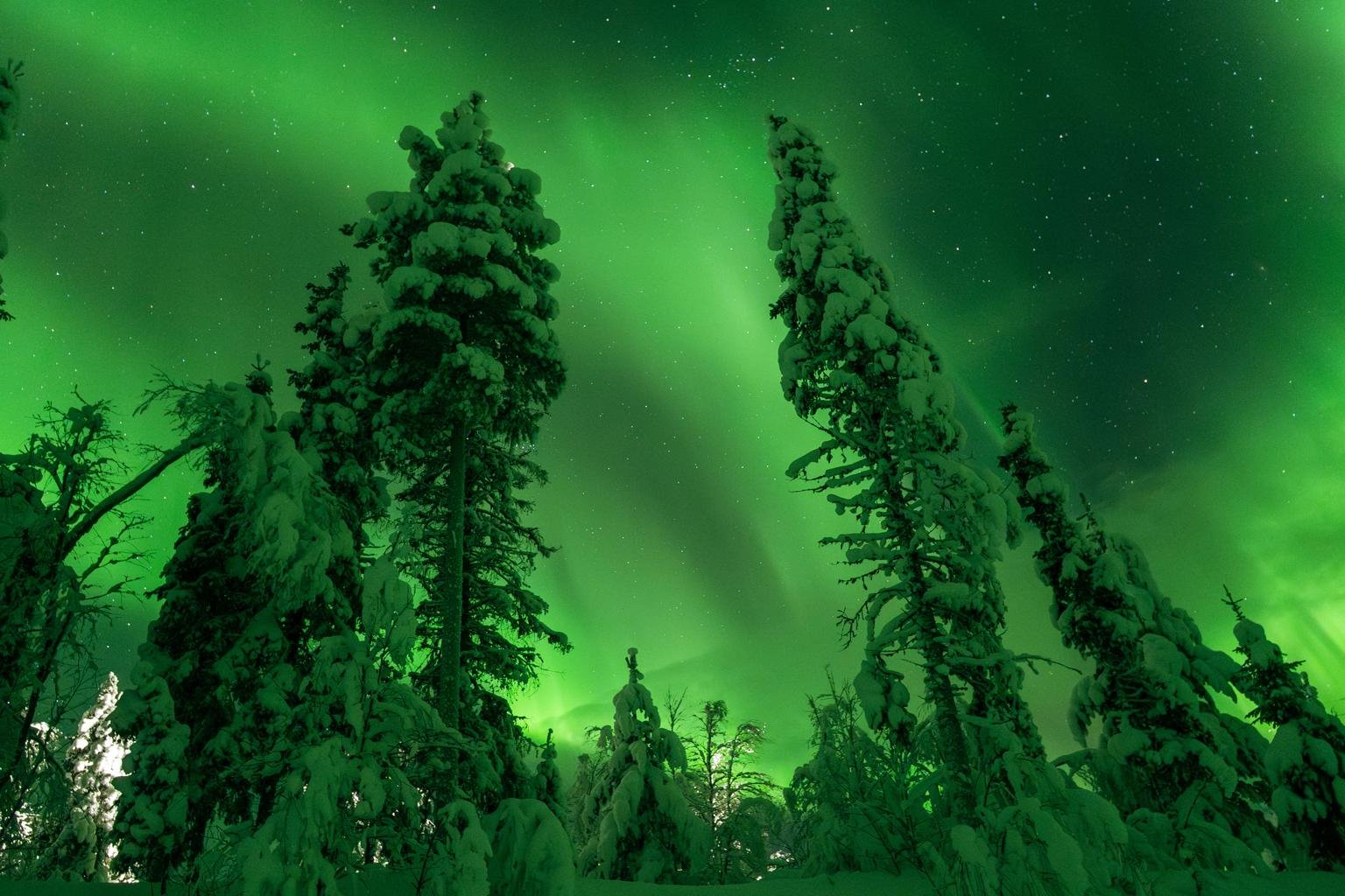 https://images.openai.com/static-rsc-3/qfKCTjjcqBaP5-wfRHurxkhyBxrednyhrCUmRttj691IQufZHEQbHb3gi0w2pl-sLde_N17OWUr6dcU2f02fpCbp5Bqg7Of8eDoKRCB4szA?purpose=fullsize&v=1
