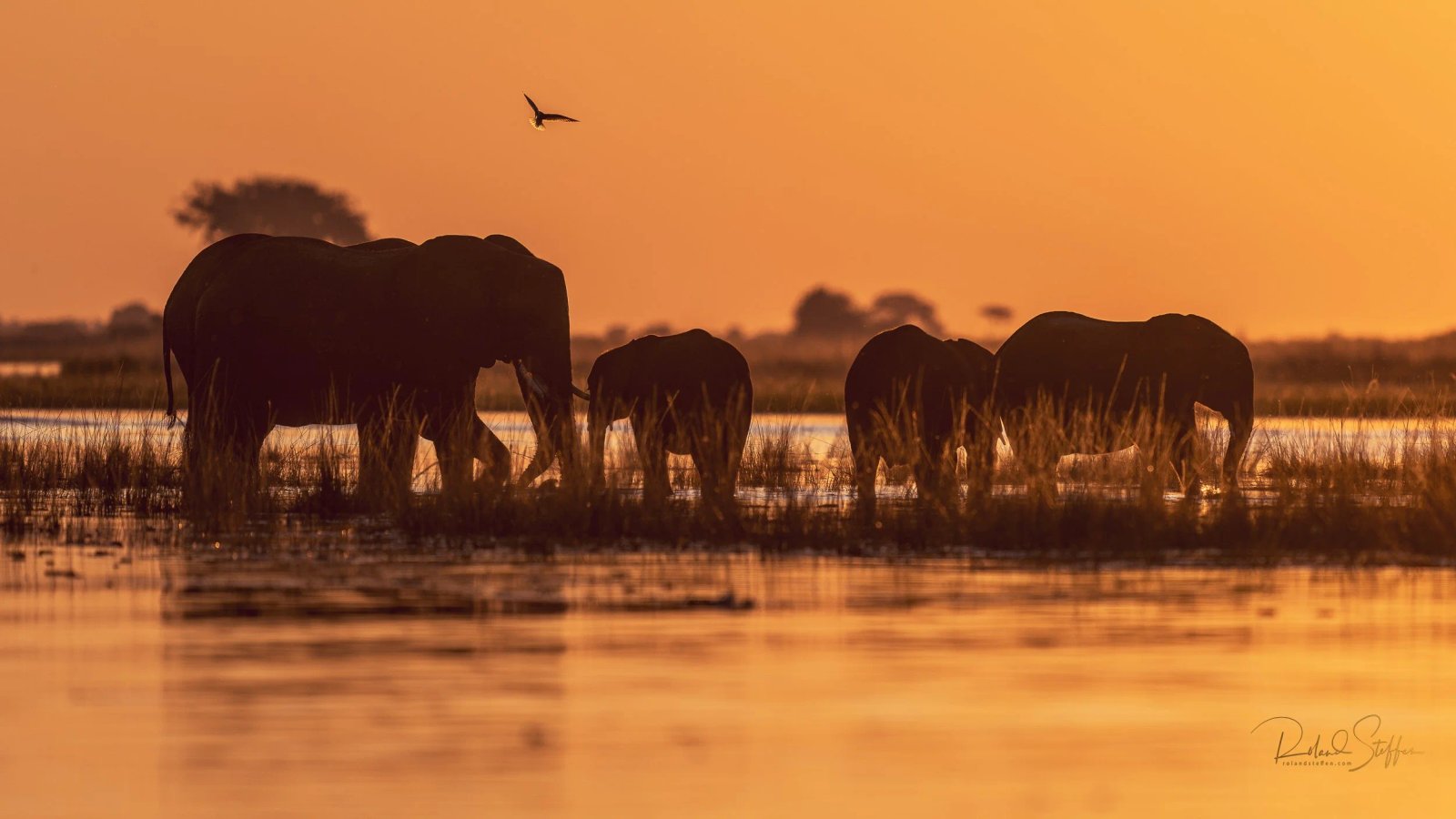 https://overlandtraveltips.com/wp-content/uploads/2026/08/A7R8515.jpg