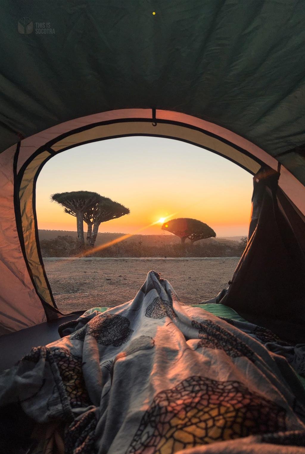 https://images.openai.com/static-rsc-4/Du3EoriB4FYHNinYBh4NiQalK_xIBPjlvnifmTWfUPmerBd0TorXwH8AaDy0qgVXrDK-esI1oY_K0yrVyfH1B5hYPKRei9sVN3RTuwxSSPd9byEMJ0ezrhavFB0MoZTN16K7e2fgYtJ93NcotW6pPsApRD38aO0I_GOf9hKxJ-MiazwvYYrp_As_Row6DUIq?purpose=fullsize