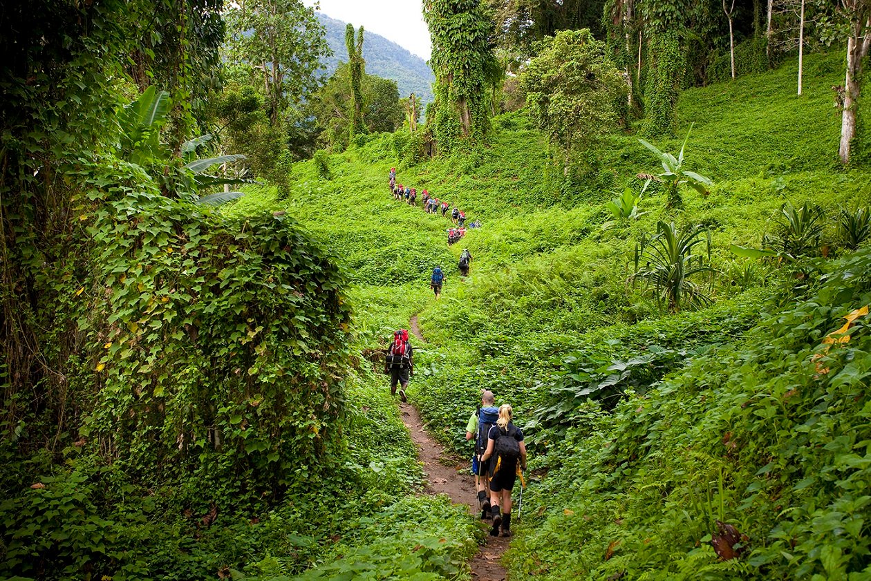 https://overlandtraveltips.com/wp-content/uploads/2026/08/BTA-TrekKokoda-03_cLR.jpg