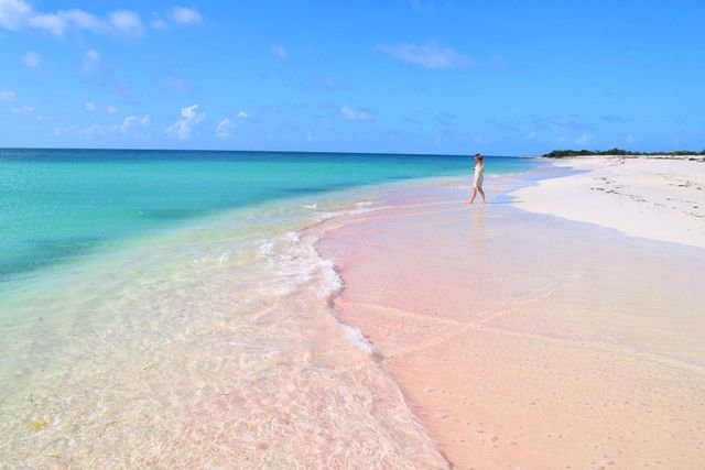 https://overlandtraveltips.com/wp-content/uploads/2026/08/Barbuda2BPink2BSand2B-2BCedar2BTree2BPoint2B-2BPink2BSand-640w.jpg