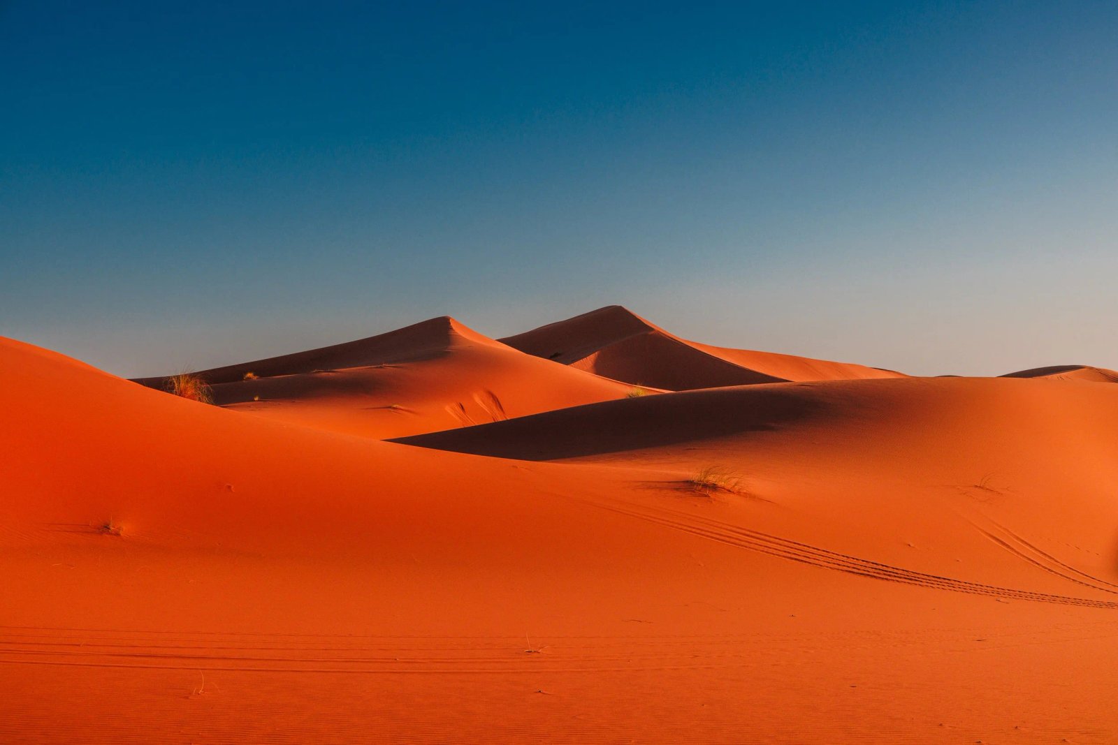 https://overlandtraveltips.com/wp-content/uploads/2026/08/Berber2BMerzouga2Bsunset2Bcamel2Bwalk2B2023-11-222B005.jpg