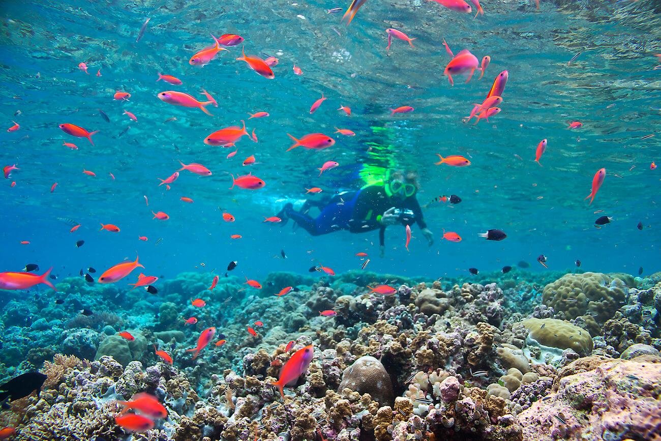 https://overlandtraveltips.com/wp-content/uploads/2026/08/Blog-Palau.jpg