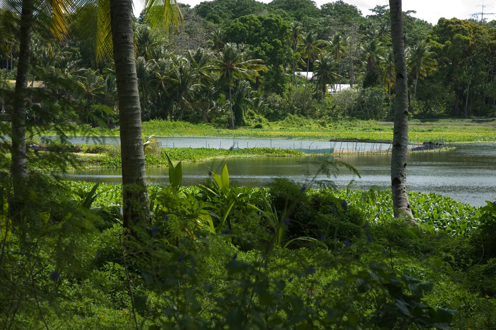 https://overlandtraveltips.com/wp-content/uploads/2026/08/Buada_Lagoon2C_Nauru_2007.jpg