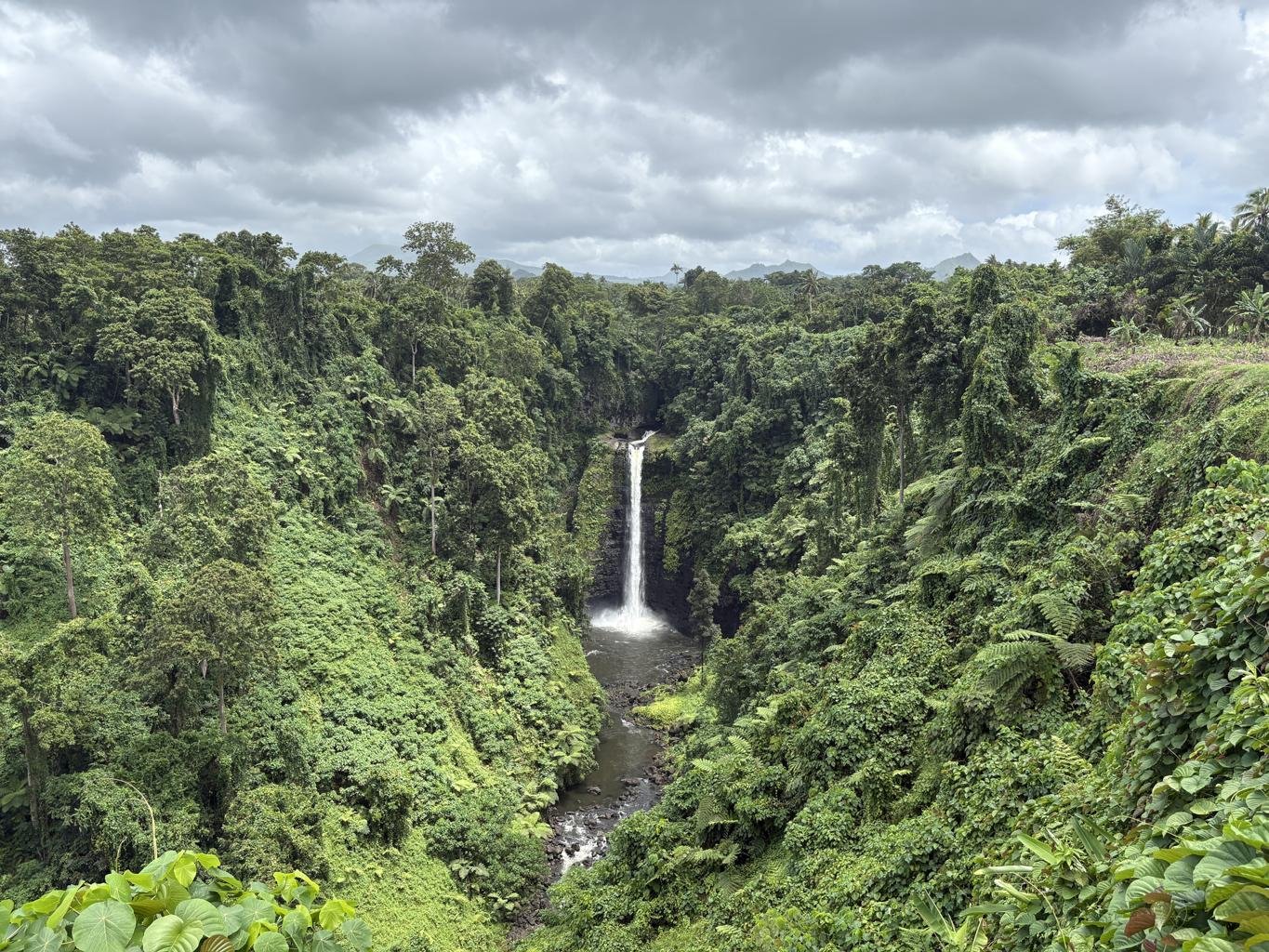 https://images.openai.com/static-rsc-3/QqBKQcR05-nN2hQPTYLiVfrG17rYln2YHW5hwDw2TKybYgjoT6MxhIartKTnyExpdNFxmOYby9SSPJ4aL-w6HrtXQsRv6A-ggKIgTKa1kHA?purpose=fullsize&v=1