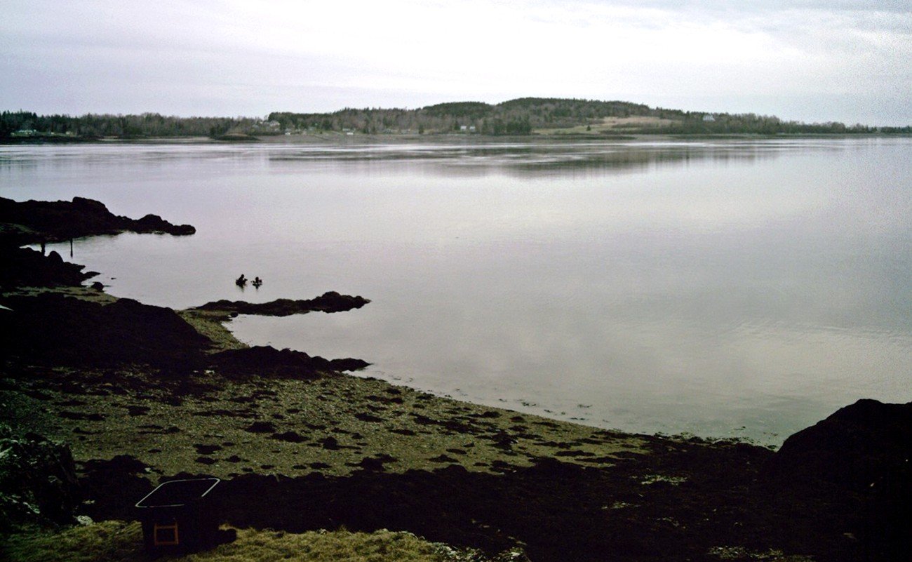 https://overlandtraveltips.com/wp-content/uploads/2026/08/CanCat_Beach_Deer_Island.jpg
