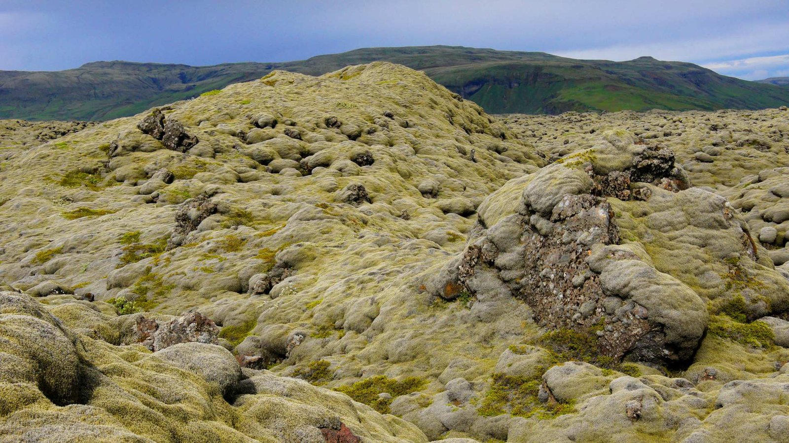 https://overlandtraveltips.com/wp-content/uploads/2026/08/Eldhraun_lava_field_moss_Adobe_Stock_ad1db145c5.jpg