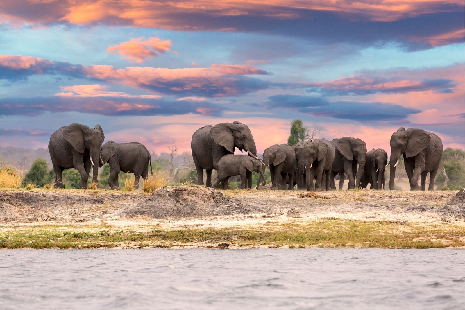 https://overlandtraveltips.com/wp-content/uploads/2026/08/Herd20of20elephants20along20the20Chobe20River_iStock-1749772034.jpg