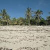African Beaches Wall Calendar 2027