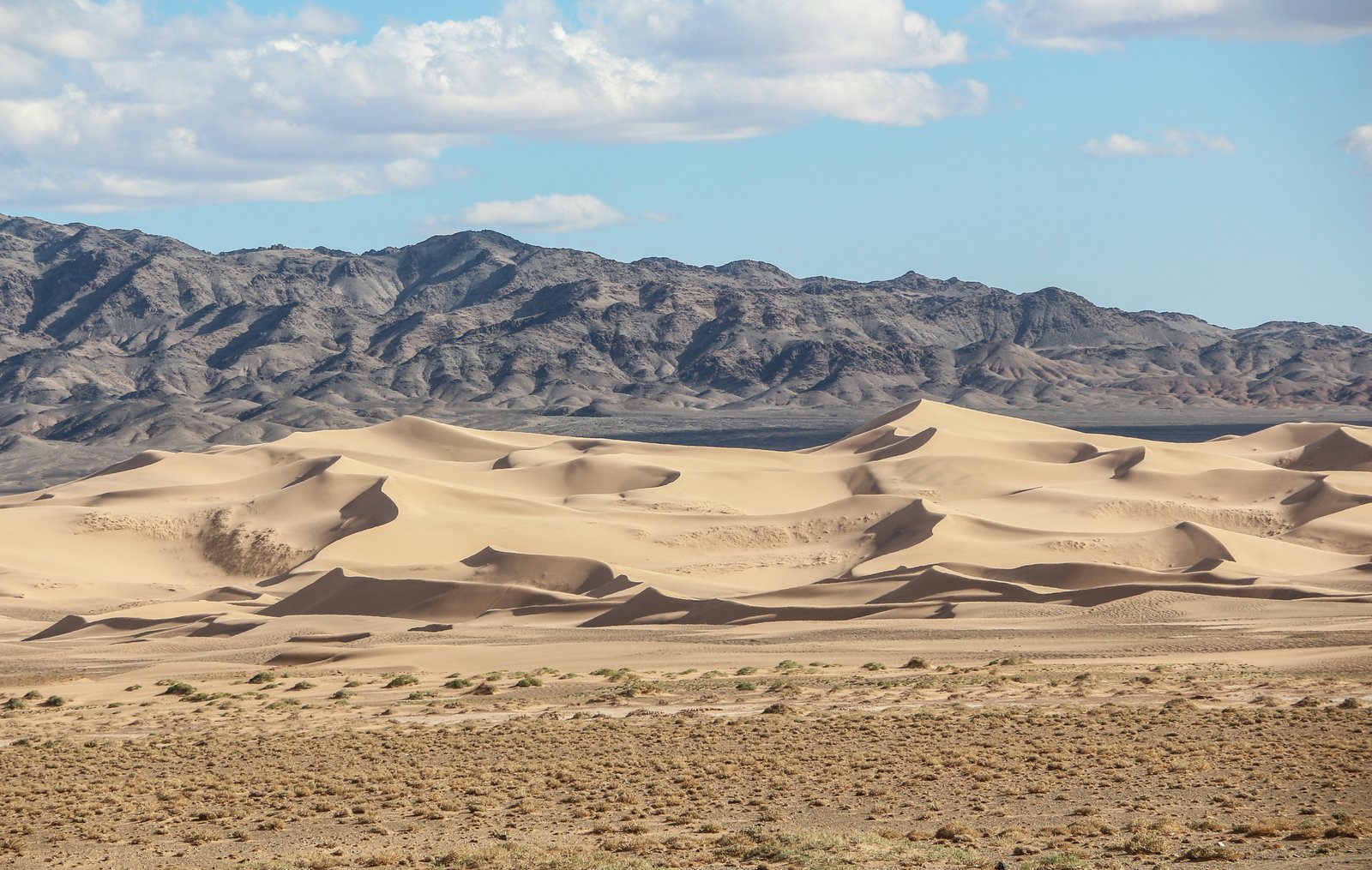 https://overlandtraveltips.com/wp-content/uploads/2026/08/Khongoryn_Els_04.jpg