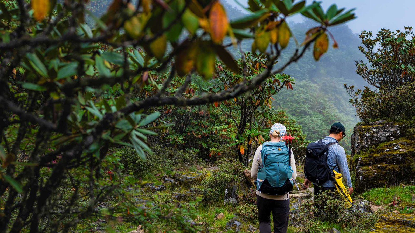 https://overlandtraveltips.com/wp-content/uploads/2026/08/LachlanGardiner_WorldExpeditions_Bhutan_Druk-Path-Trek_2025-1164296-8489486-1920px.jpg