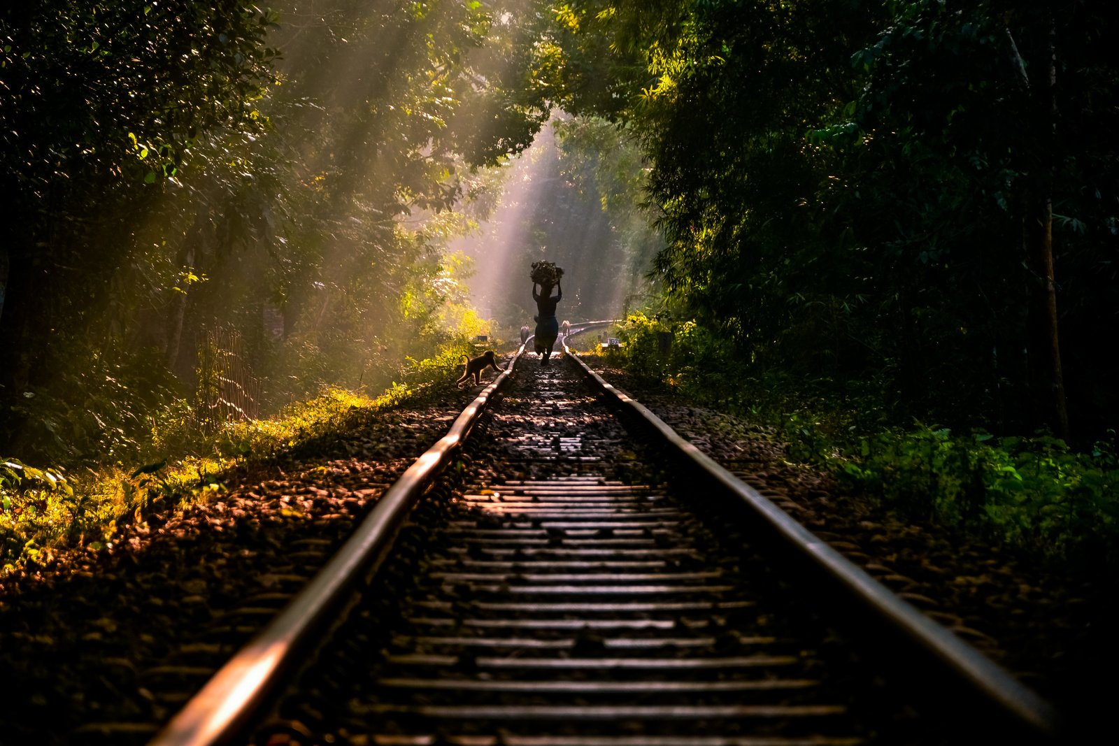 https://overlandtraveltips.com/wp-content/uploads/2026/08/Life_around_jungle.jpg