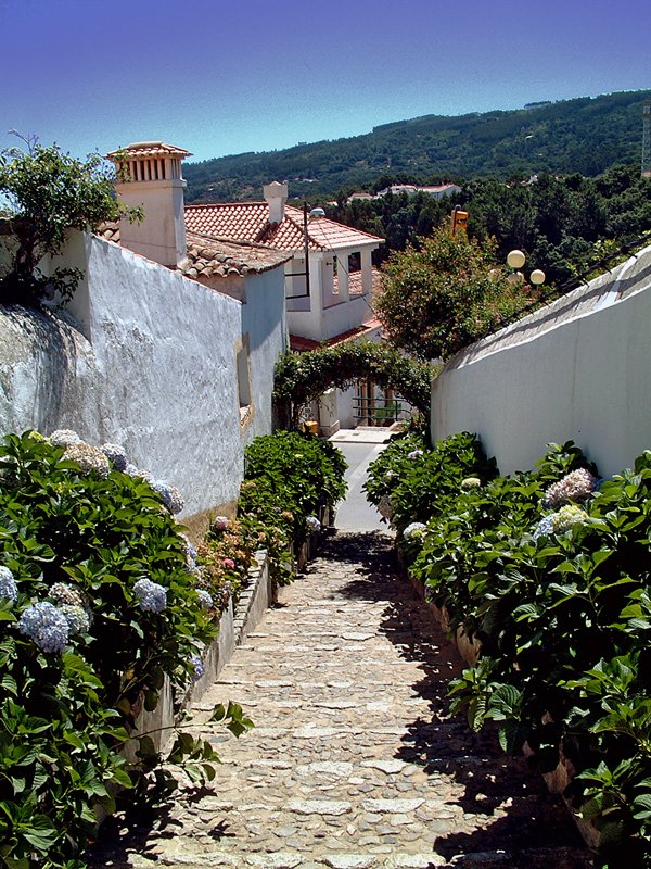 https://overlandtraveltips.com/wp-content/uploads/2026/08/Monchique.jpg