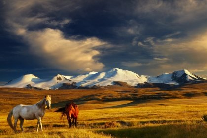 https://overlandtraveltips.com/wp-content/uploads/2026/08/Mongolia-Lead.jpg