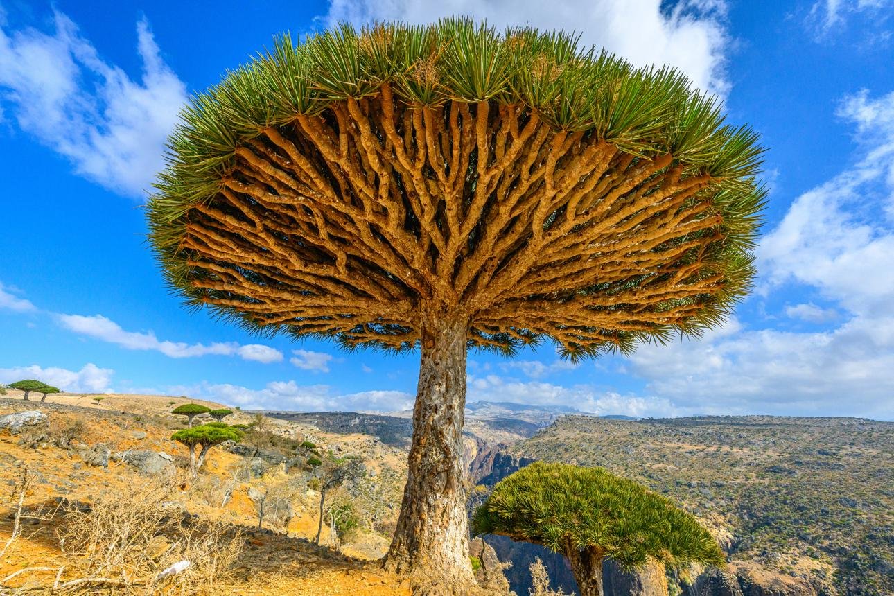 https://images.openai.com/static-rsc-4/ua0wGmwyLVCHZGLXC7b9rbo_dSNG-bIoh7MSmglpcoCQP0R63Qy47e9abqhBAKRvRr-KT3VkPSlJkndEK6_zZzKLHkwRUZ3zgAxbPCTIsiHezwy8hbvy5Zv4sxSxKNDD_sy9J1DIUB6CwHRoe1YM374-NxJMqXil9pGfpBb1tqfW46ihnFOdj4NBBo0F7H7I?purpose=fullsize