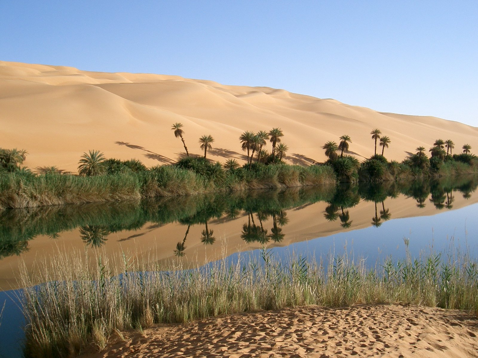https://overlandtraveltips.com/wp-content/uploads/2026/08/Oasis_in_Libya.jpg