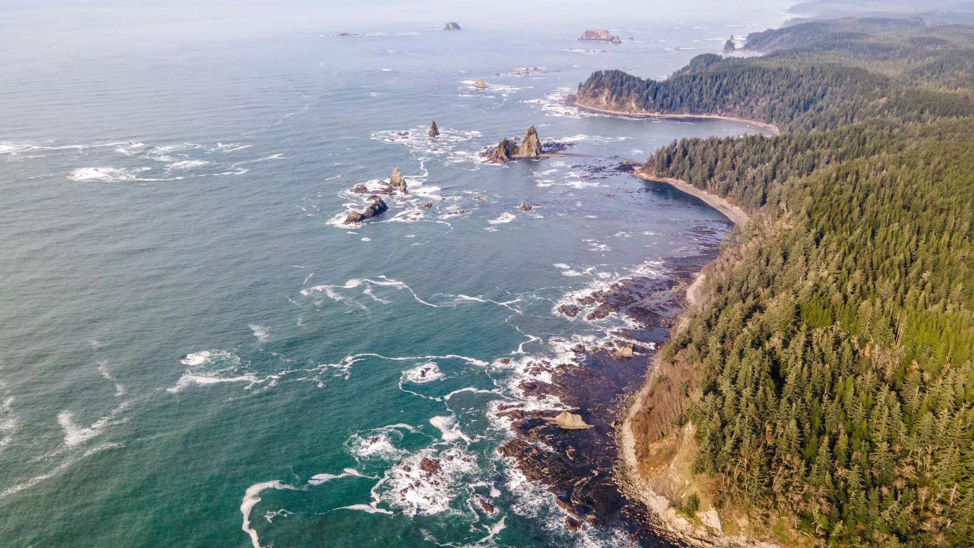 https://overlandtraveltips.com/wp-content/uploads/2026/08/Olympic-Peninsula.jpg.webp