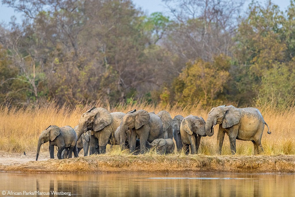 https://overlandtraveltips.com/wp-content/uploads/2026/08/Pendjari_safari_Benin_08ea2159-d832-4f20-b210-151babebef97_1024x.jpg