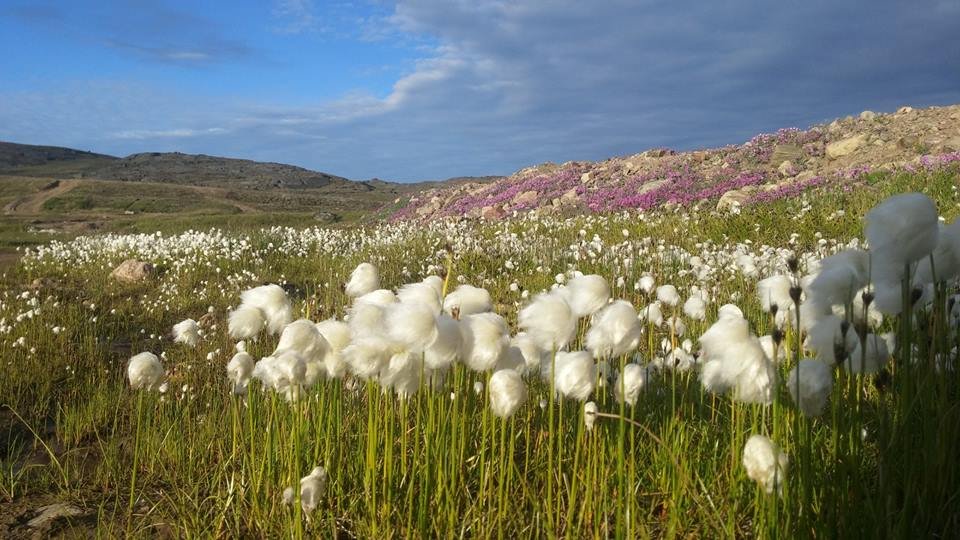 https://overlandtraveltips.com/wp-content/uploads/2026/08/Sylvia-Grinnell-Park-Iqualuit-MNunavut-Gwenyth-McQuarrie.jpg
