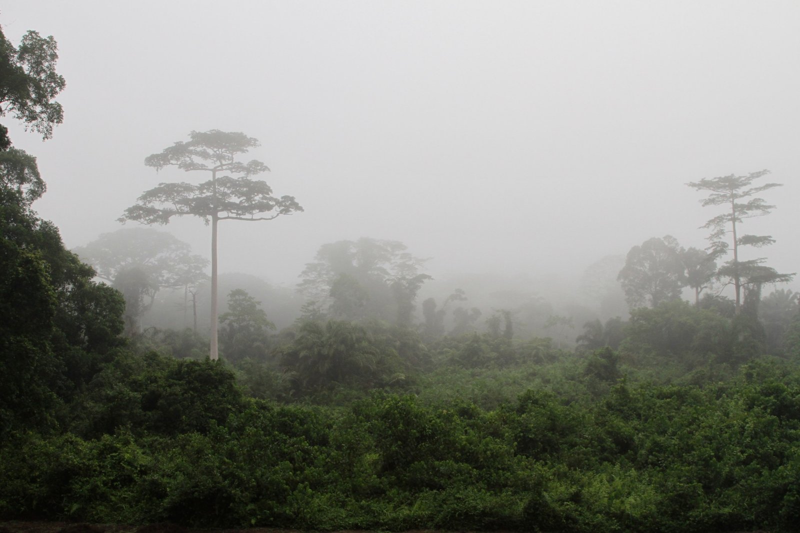 https://overlandtraveltips.com/wp-content/uploads/2026/08/TaC3AF_National_Park_282414824871029.jpg