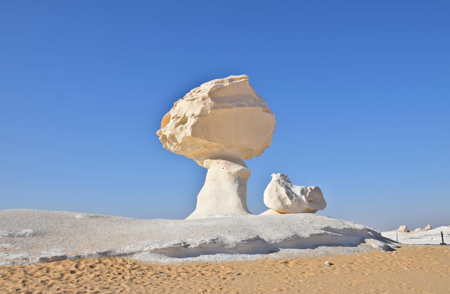 https://images.openai.com/static-rsc-3/qKao6rvO2GQwXb2wWiLgl6ySEJIf3AdQe7iGzUJenUMFn_utpofLN4F2VHB-dhbCVQz6MWeJJJhqQFRfN1JZMXf8TEXMIAPtR_mQxyRSIi0?purpose=fullsize&v=1