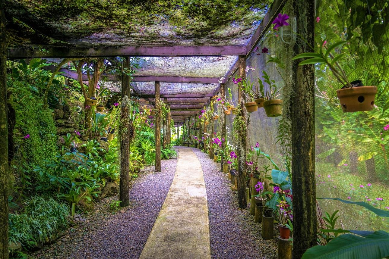 https://images.openai.com/static-rsc-4/2W4HmGvKGMvsybsziVMDQ-wF37P0bfGDGTZSX_k3Oi6jBgcrjHBr07LLTgM55AbeR5dui5QCsF51KFhLb9kwX_Zc6rIQP1GY4TW3qB0iajEjaBvSXQRVp_vviB8N7QlkDydtR9Rp7NsT_wtIJjemLCeWXTuolUYl-BVPDdErapkBIwQYCCYHzcYo64TFz7TK?purpose=fullsize