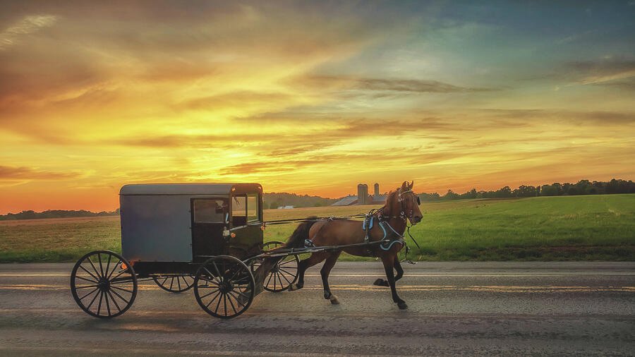 https://overlandtraveltips.com/wp-content/uploads/2026/08/amish-horse-and-buggy-at-sunset-lancaster-county-pa-susan-rissi-tregoning.jpg