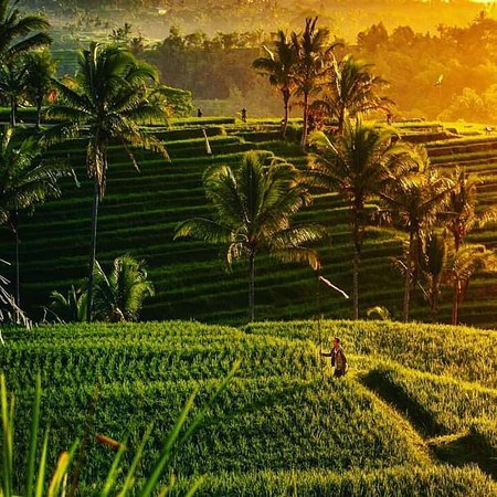 https://overlandtraveltips.com/wp-content/uploads/2026/08/beautifull-sunrise-at.jpg