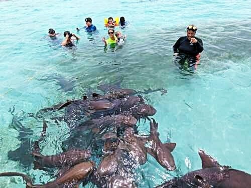 https://overlandtraveltips.com/wp-content/uploads/2026/08/belize_shark_ray_alley_snorkeling_excursion_cost_2628-12.jpg
